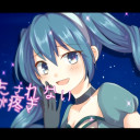 初音ミク(盗人シンデレラ)