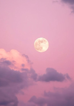 Make a wish on the pink moon