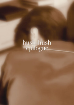 hush-hush epilogue 