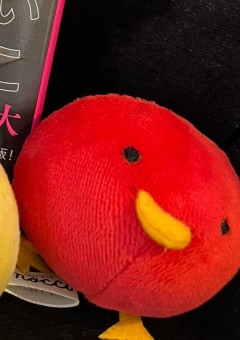 リーダーさん言われてた通りホストのようで…
