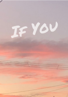   if you …