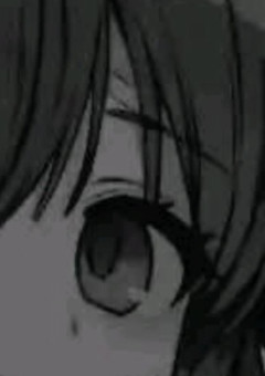 私は君たちに嘘をつく＿。