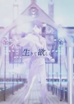 活動報告