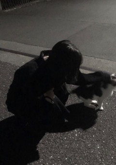 　　ア イ ド ル に 拾 わ れ ま し た 。
