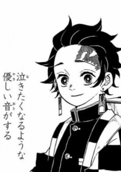 綺麗な君と正反対な私