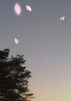 ＿＿＿＿＿ 悪 者 だ と し て も 。
