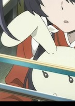 拾ったわんこ達が人間になった件