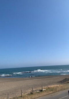 活動報告
