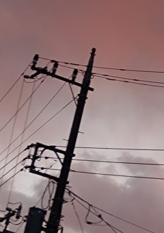 綺麗な写真欲しい人おいでーー！！