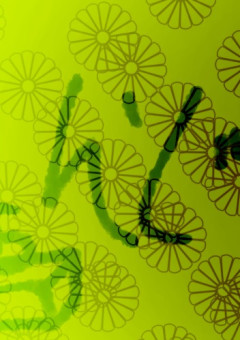 おえかきした物をつめこむだけ