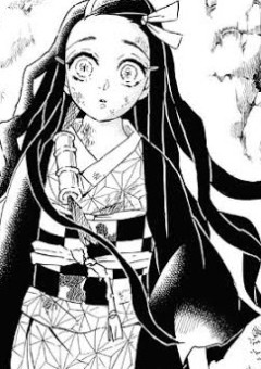 竈門家次女。堕ちすぎたようで。