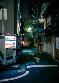 猫と犬と俺