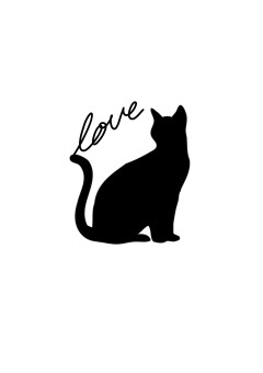 黒猫のトワイライトゾーン