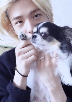 　~ skz BL ~ 