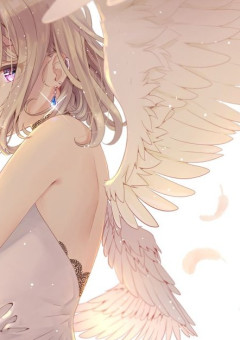 天使の君
