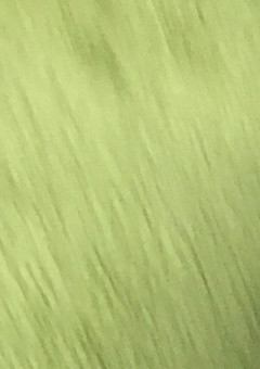 表向き組