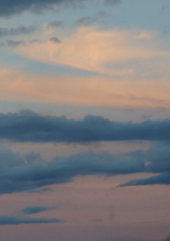 翼を落とした天使