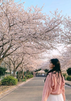 桜の舞うあの日