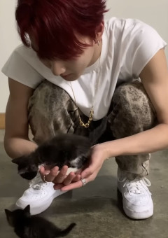 子猫を拾いました🐈