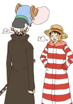 ハートの海賊団 の小説 夢小説検索結果 87件 無料スマホ夢小説ならプリ小説 Bygmo