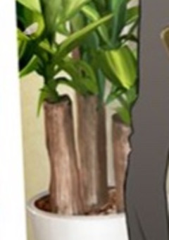 新  組  織  。〈  B  S  D  参  加  型  〉