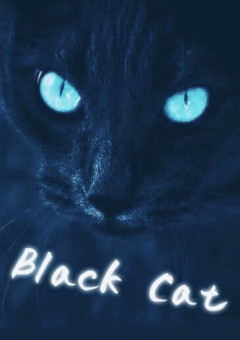  ＿＿" 黒猫さんは、Odd Eye "＿＿