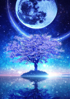 月夜に咲く華