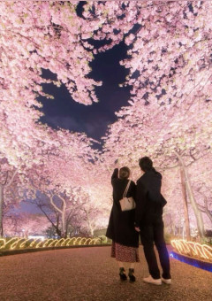 桜が降る日、僕はあなたに恋をした。