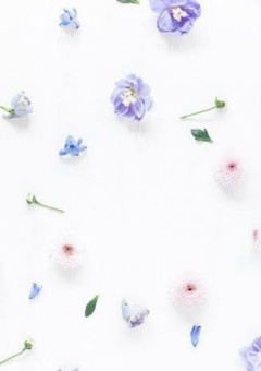 ひげだん 白ひげ海賊団 の小説 夢小説検索結果 19件 無料スマホ夢小説ならプリ小説 Bygmo