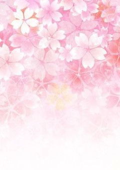 桜色の幸せ𓂃𓈒𓏸