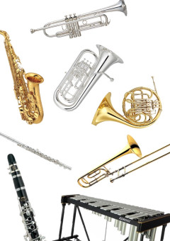 Brass band  🎺🎷🎶