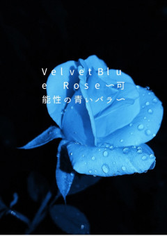 VelvetBlue Rose〜可能性の青いバラ〜