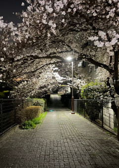 リクエスト 🖼