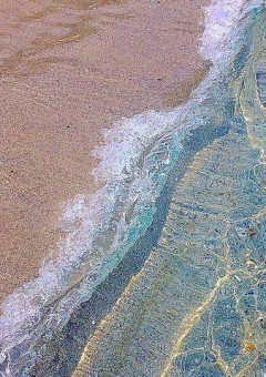 人魚の私と人間の貴方