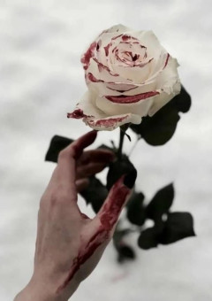 白い色の薔薇はいずれ赤黒く染まる……