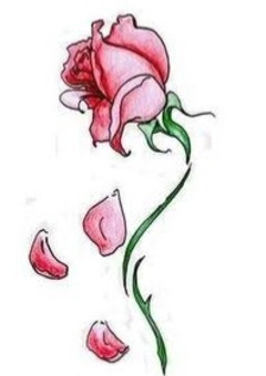 薔薇が消える前に