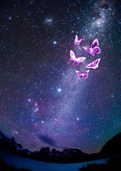 　　　夜空に光り輝く蝶