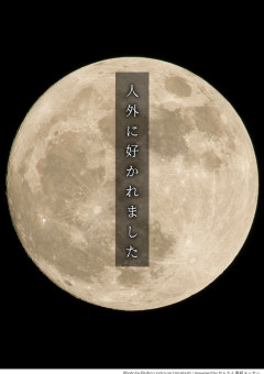 人外に好かれました