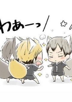 戦刻ナイトブラッド の小説 夢小説検索結果 7件 無料スマホ夢小説ならプリ小説 Bygmo