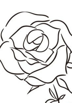 〝  6 色  の  水  を 、白 い 花   に  ＿＿＿ 。 〟