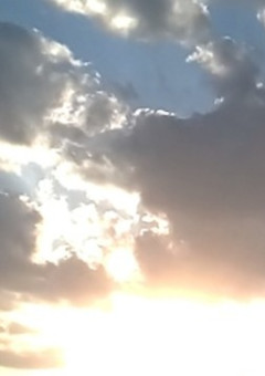 私の日常