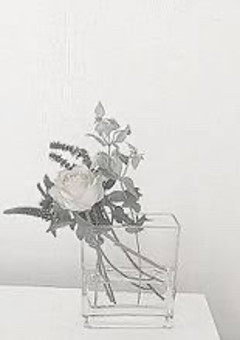 ある日、メンバーの紅一点になってました