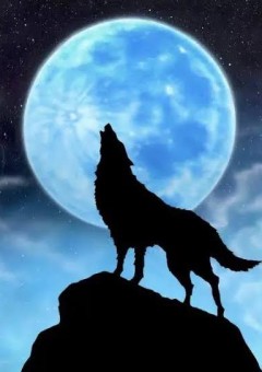 【からぴちのみver.】昼夜の狂変