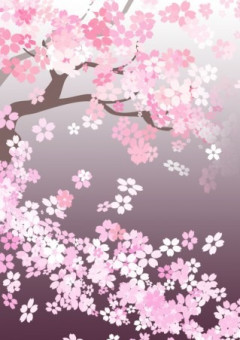 桜の舞 『僕のヒーローアカデミア』