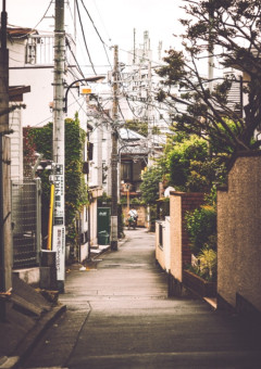 未定
