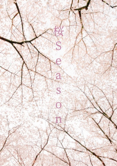 桜Season 