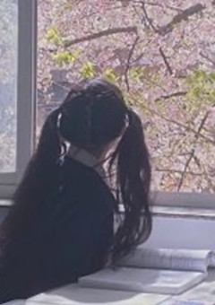 恋に出会った物語