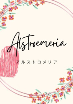 Alstroemeria公式ノート