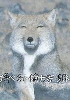 北さんの妹は病弱だった件