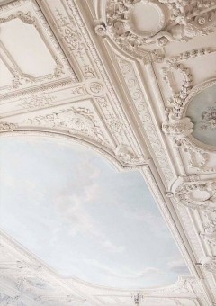 純文学風   - 《執事の心の葛藤―蓮とまりあの禁断の恋》